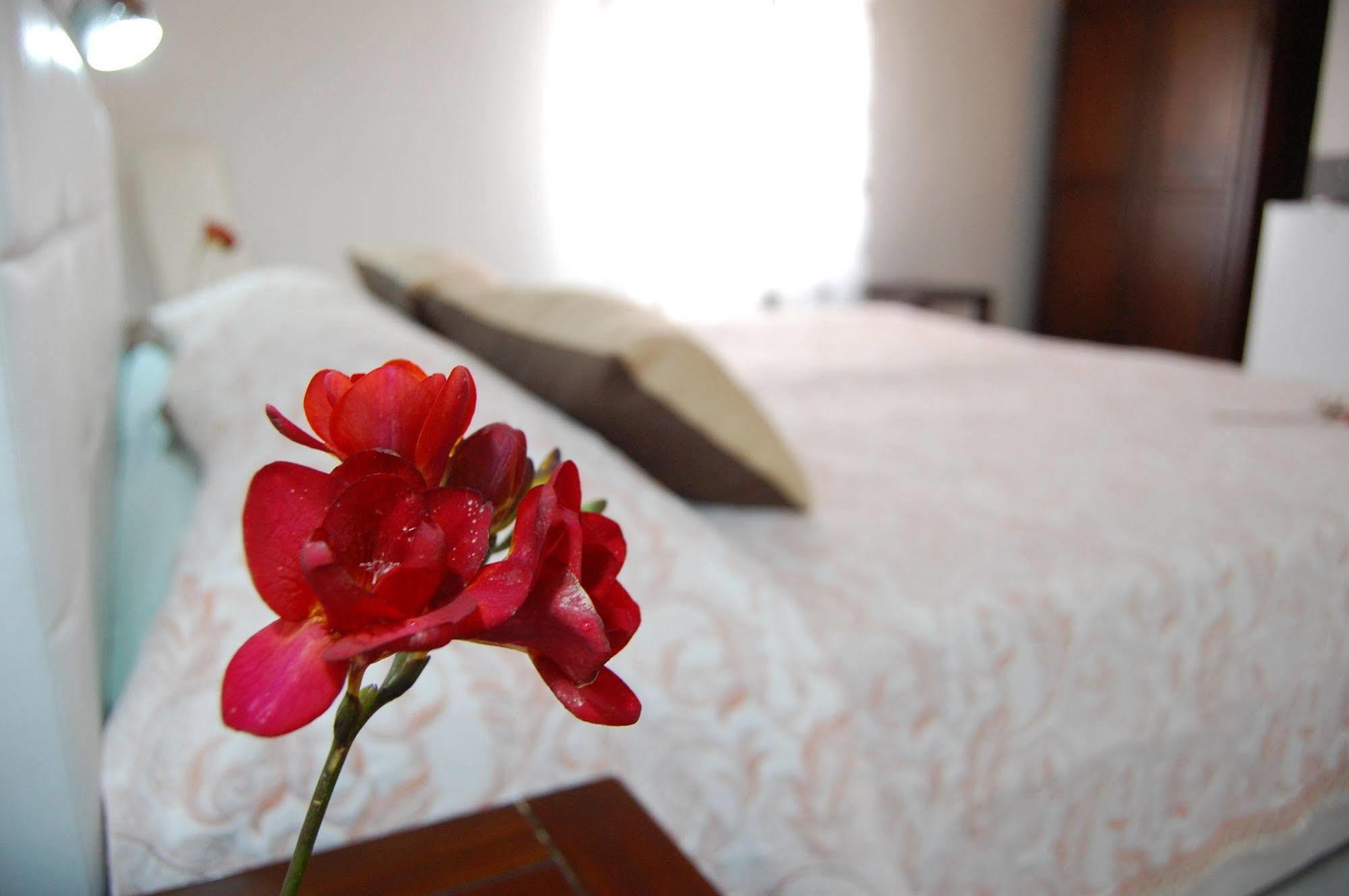 アレネッラ イル ミルト エ ラ ロサ Bed & Breakfast エクステリア 写真